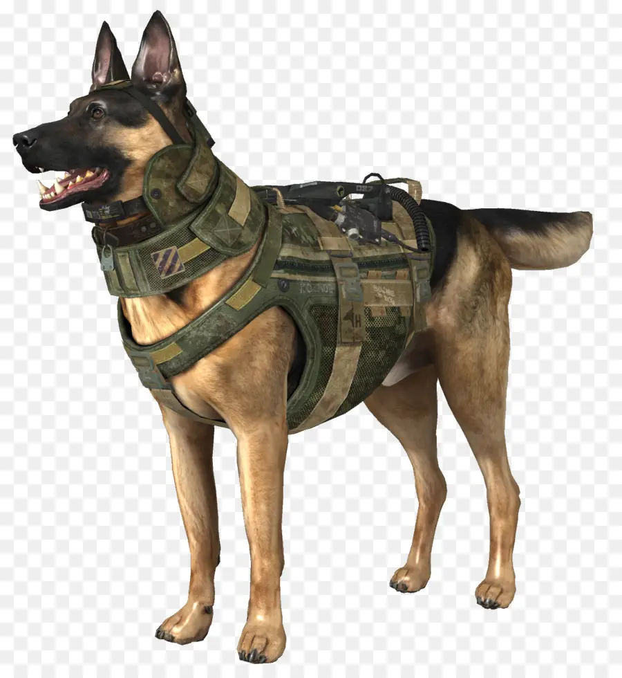 Chien Militaire，Berger Allemand PNG