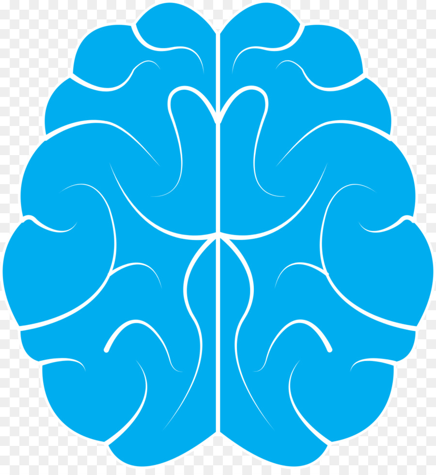 Cerveau，Bleu PNG