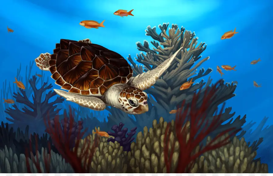 Tortue De Mer，Sous L'eau PNG