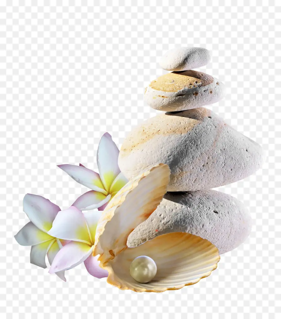 Pierres Empilées Et Coquille，Fleurs PNG