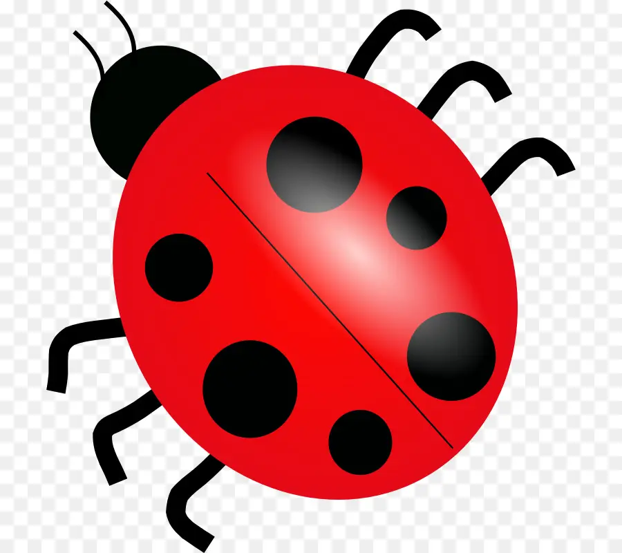 Coccinelle，Bogue PNG