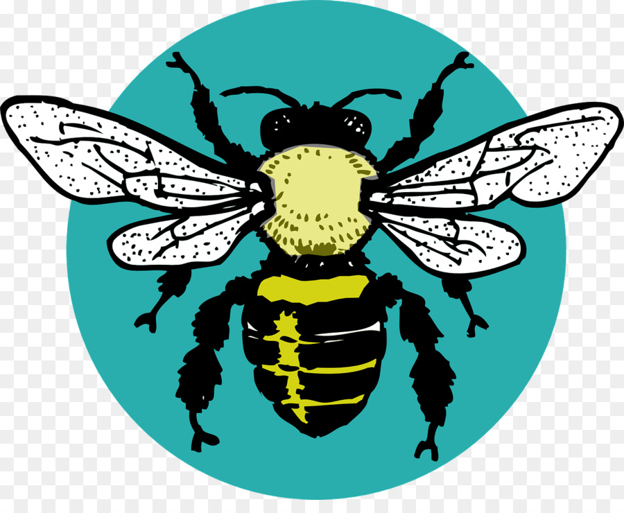 Abeille，Insecte PNG