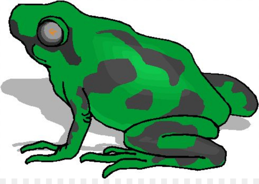 Grenouille，Vrai Grenouille PNG