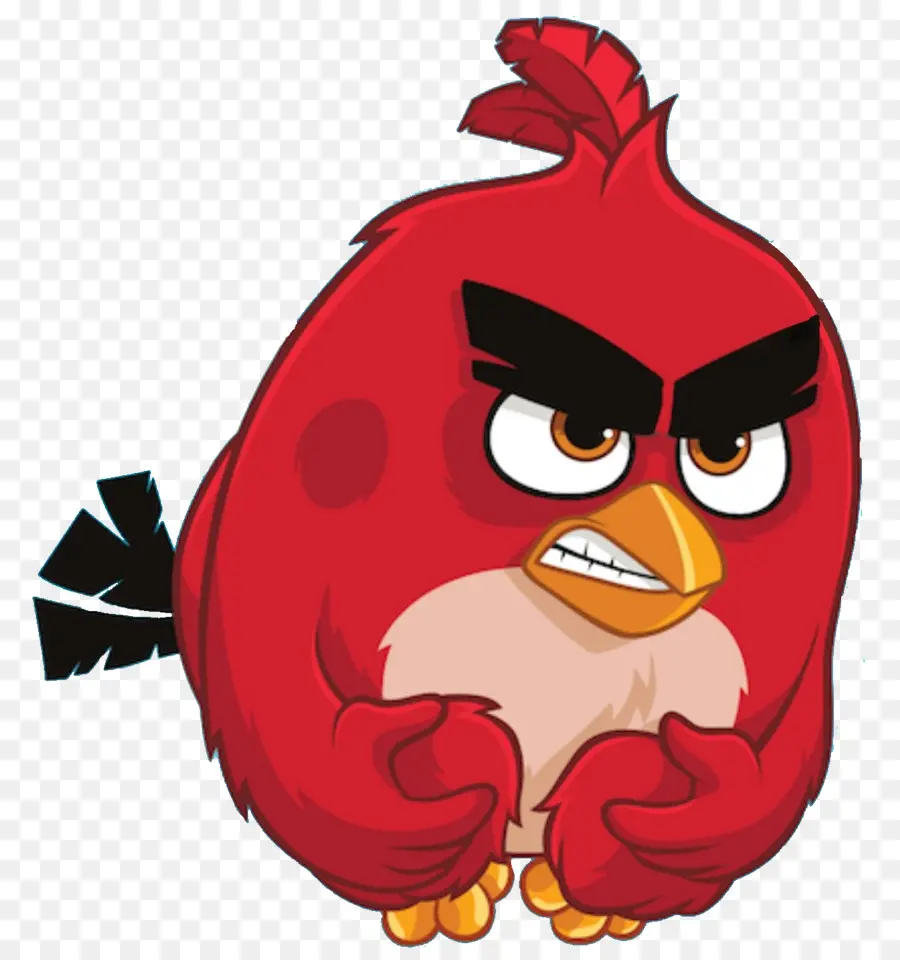 Angry Birds，Birds En Colère Pop PNG