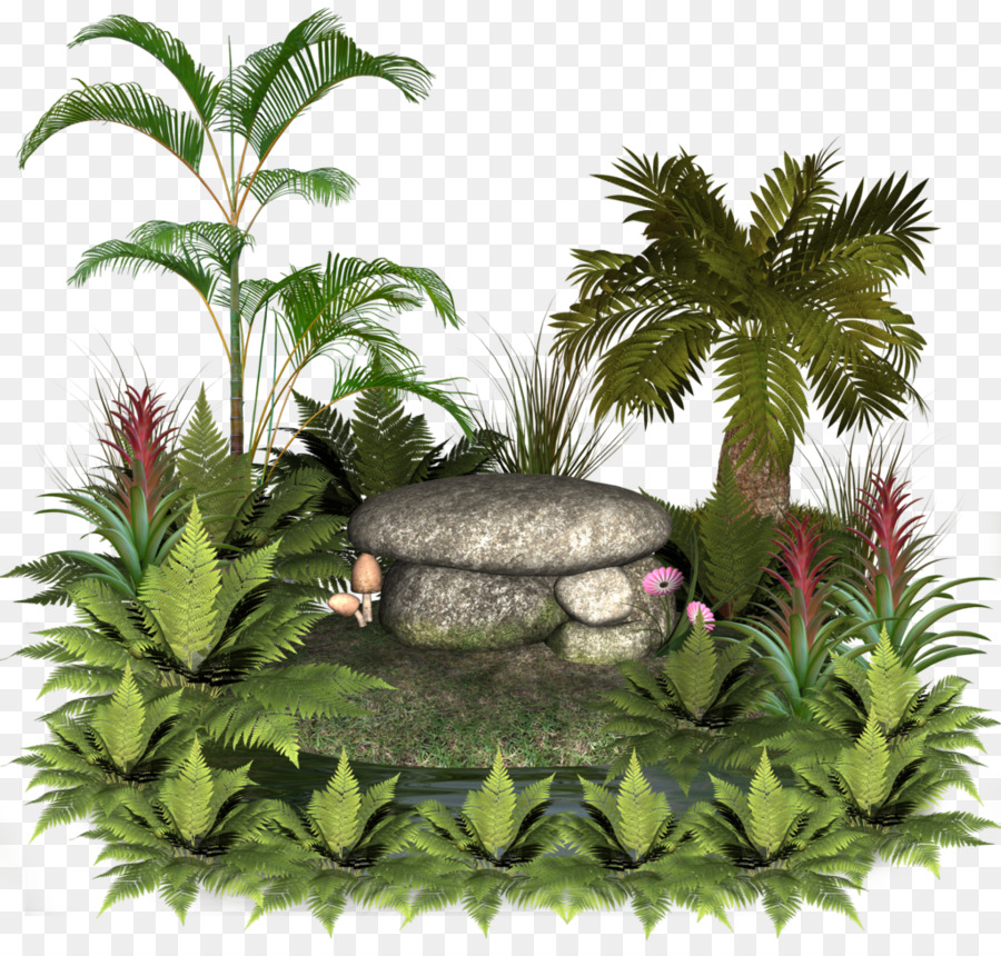 Jardin De Rocaille，Plantes PNG