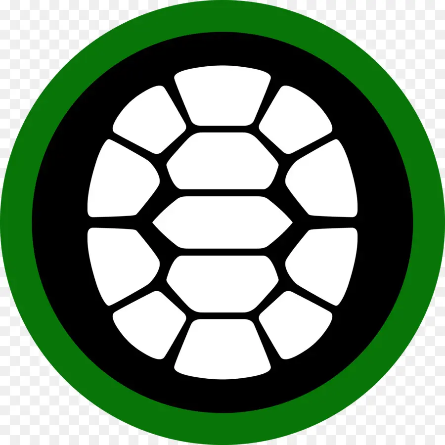 Carapace De Tortue，Animal PNG