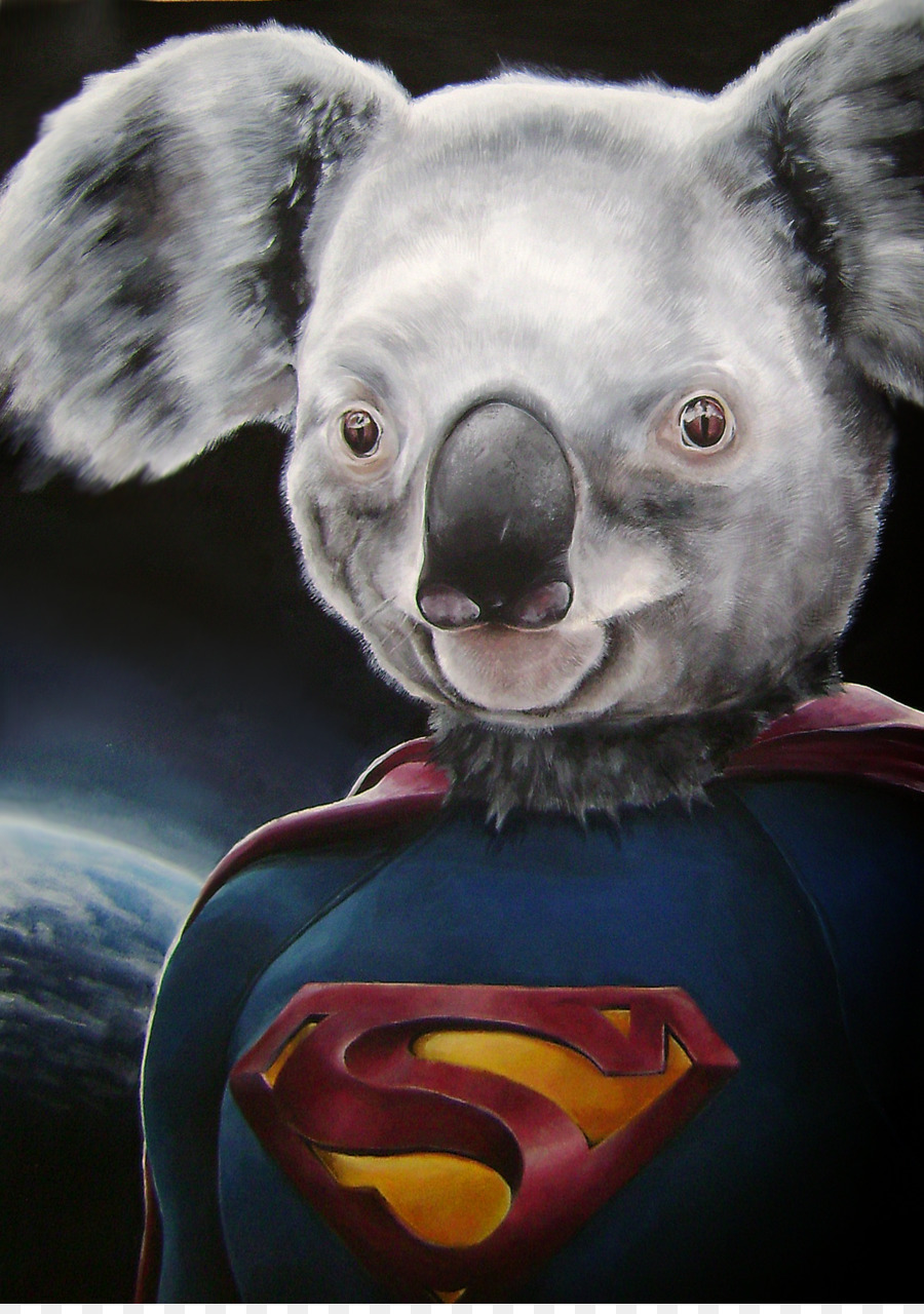 Koala，Marsupial PNG