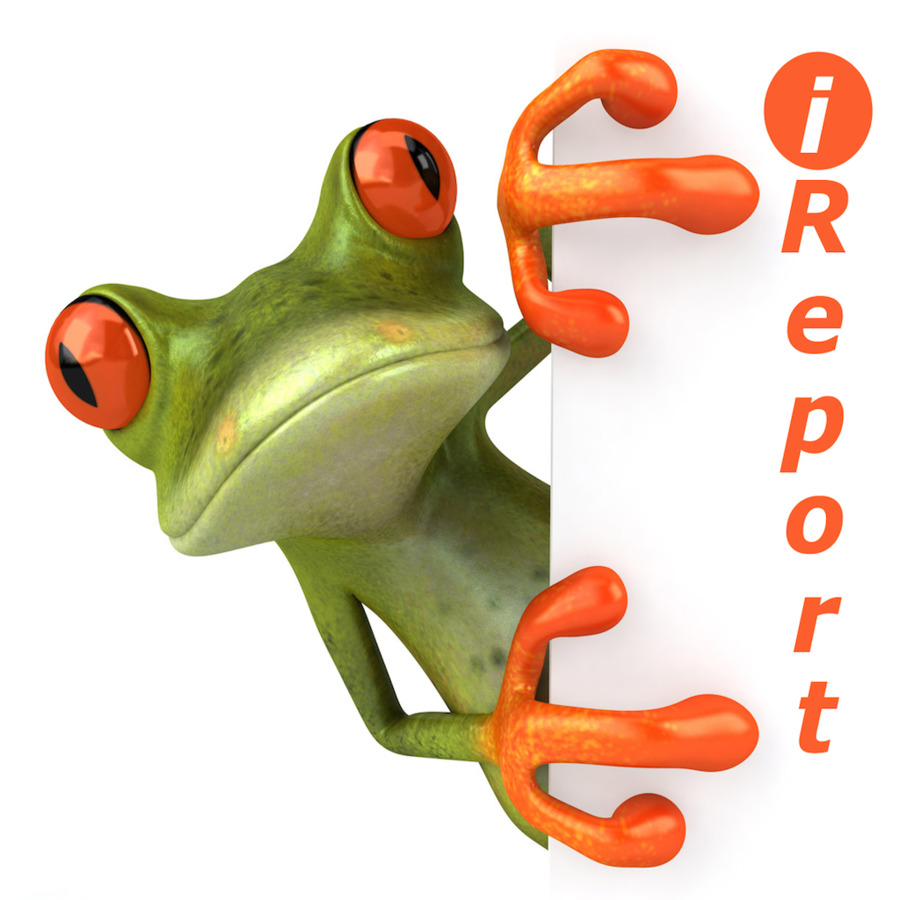 Grenouille Verte De Dessin Animé，Dessin Animé PNG