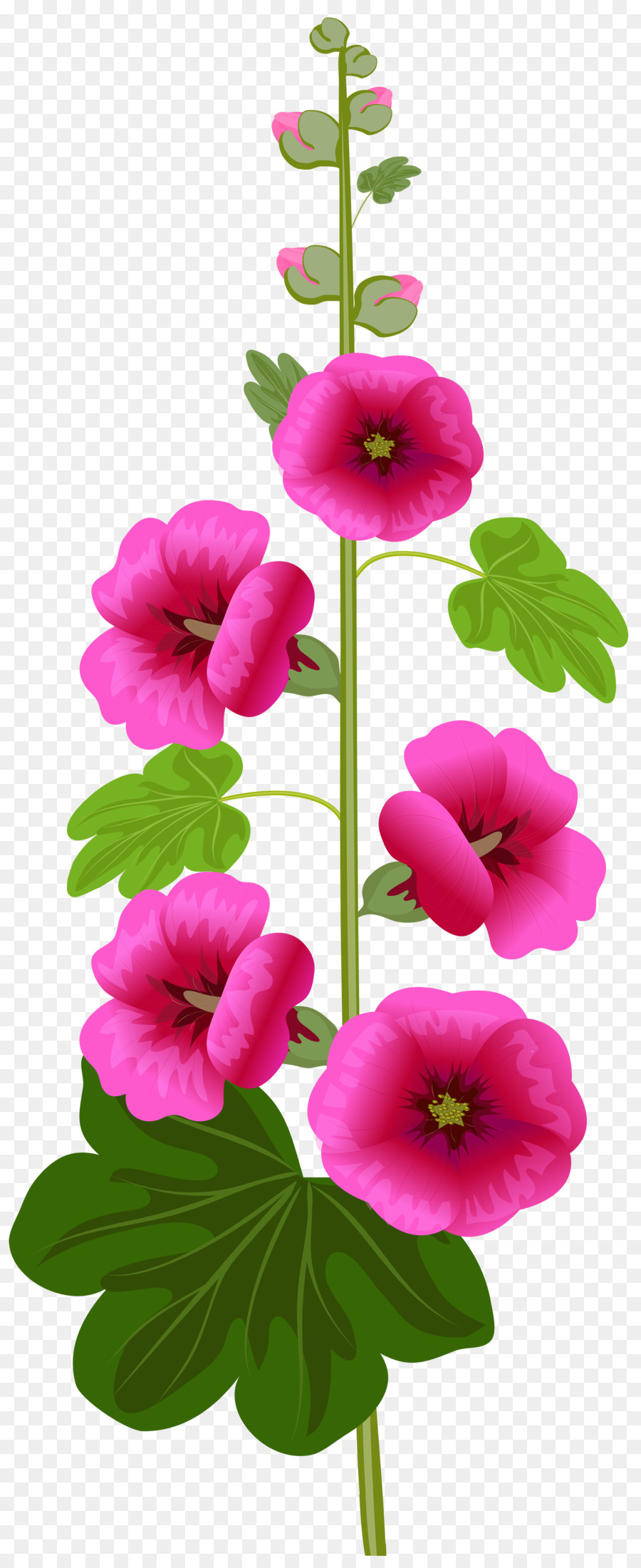 Fleurs Roses，Fleurir PNG