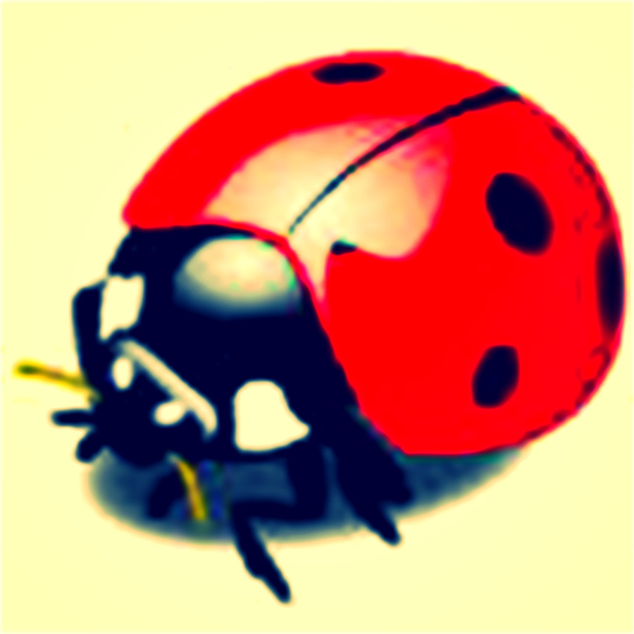 Coccinelle，Rouge PNG