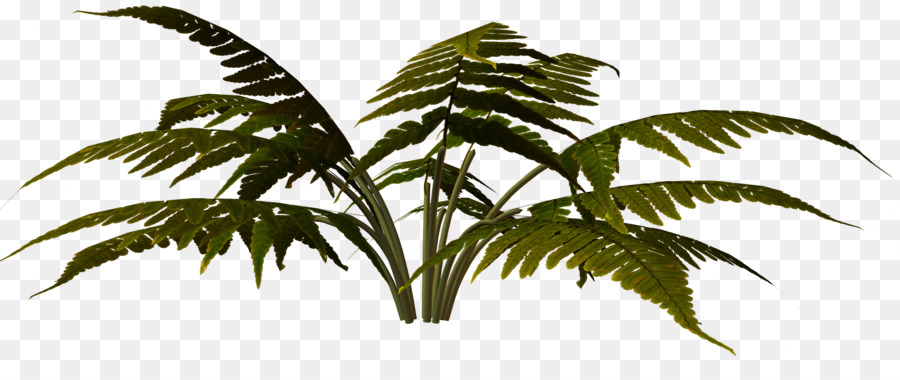 Arecaceae，Nissan Leaf 2016 PNG