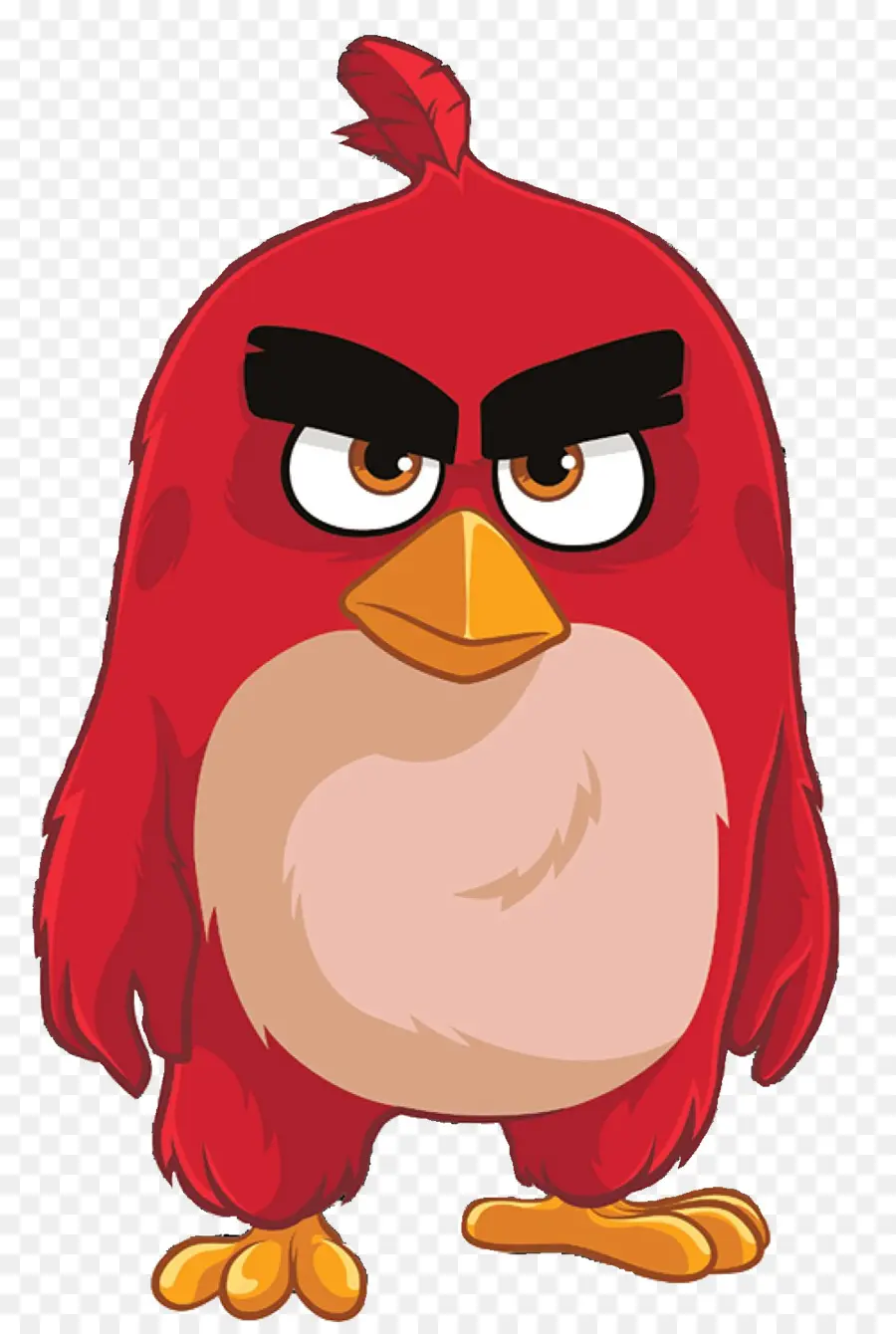 Oiseau Rouge，En Colère PNG