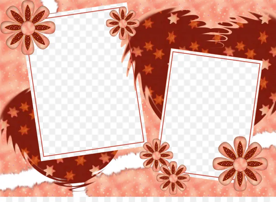 Cadre Floral，Décoratif PNG