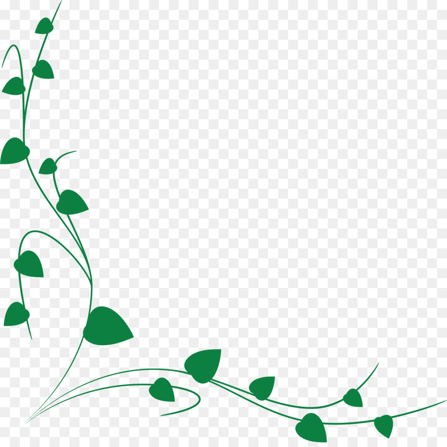 Vigne Verte，Feuilles PNG