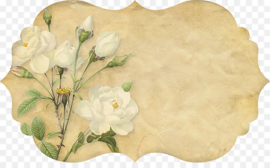 Cadre Floral Vintage，Fleurs PNG