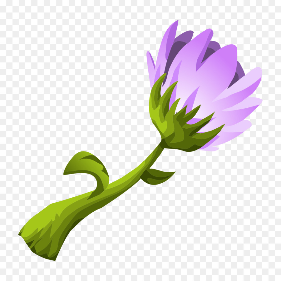 Fleur，Violet PNG