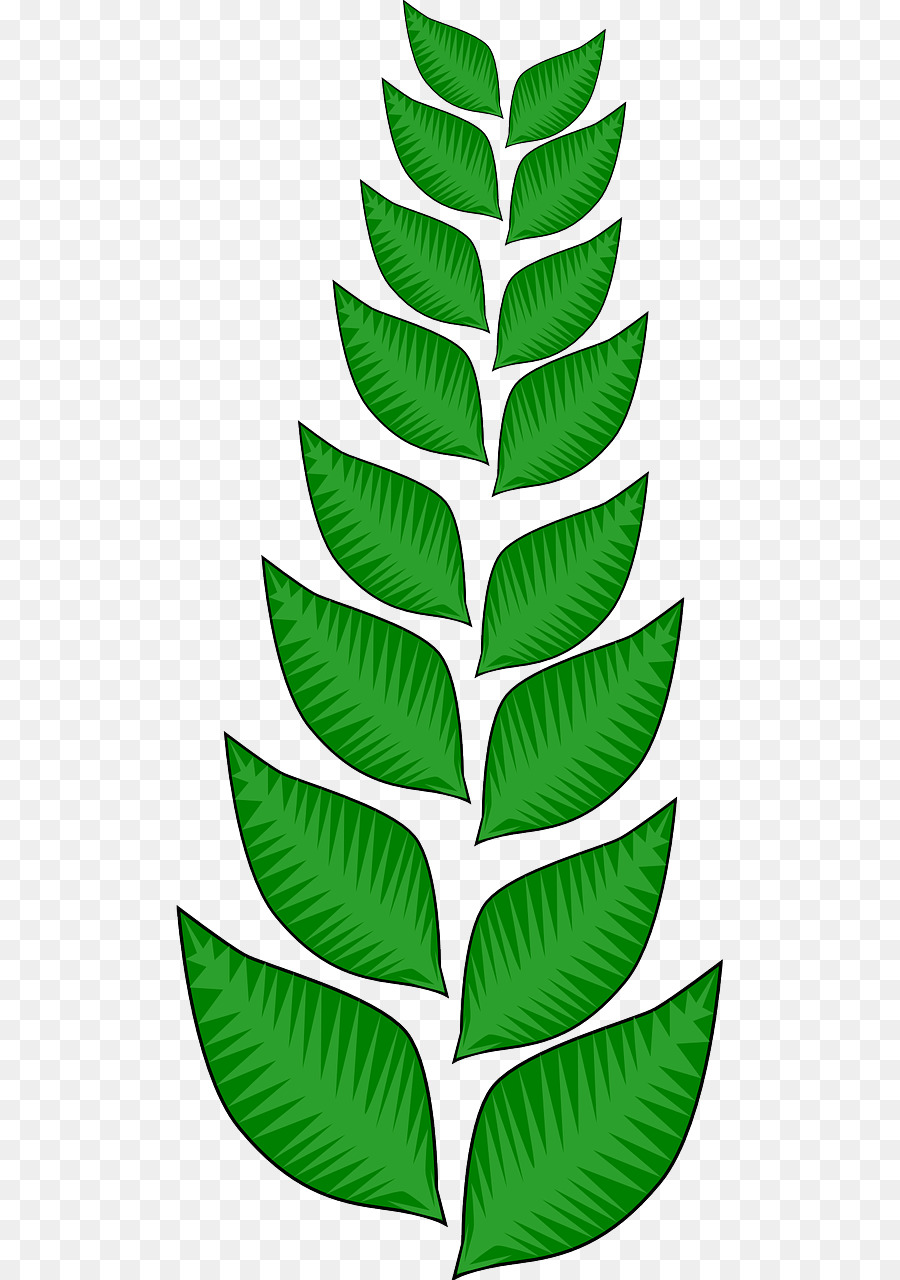 Feuille，De La Vigne PNG