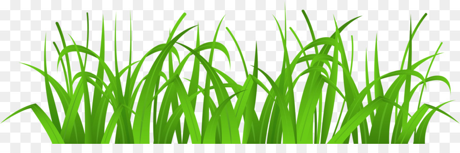 Herbe，Vert PNG