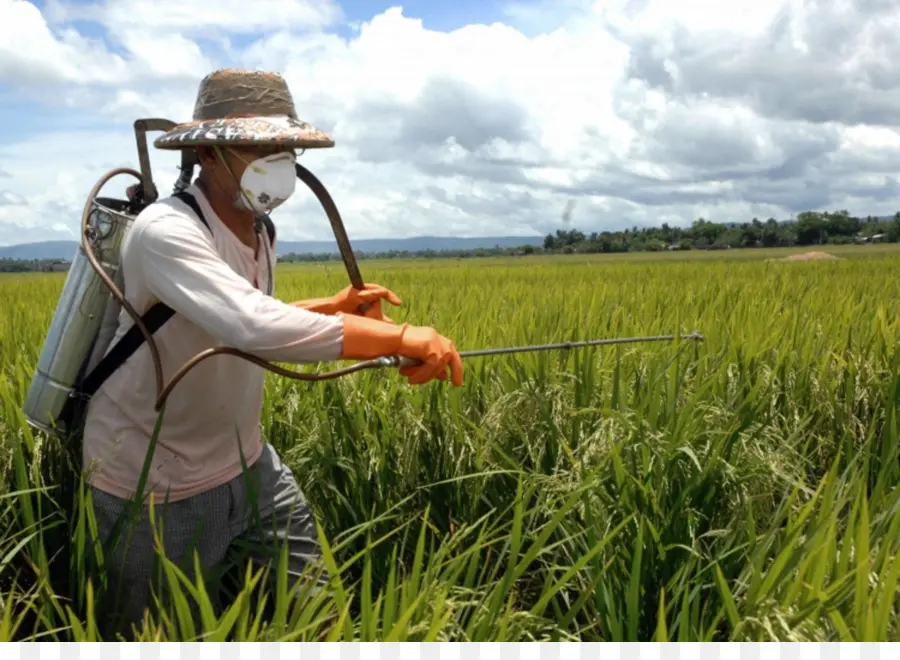 Pulvérisation Des Agriculteurs，Champ PNG