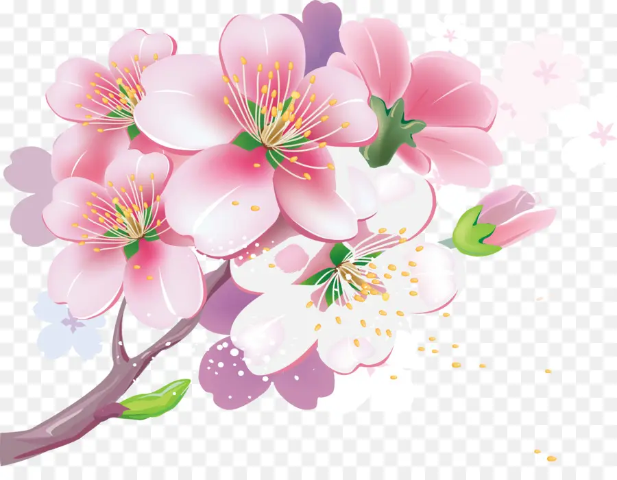 Fleur De Cerisier，Royaltyfree PNG