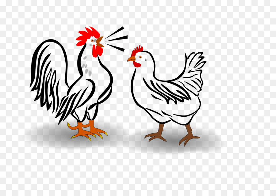 Poulet，Coq PNG