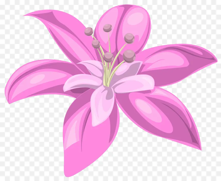 Fleur Rose，Floraison PNG