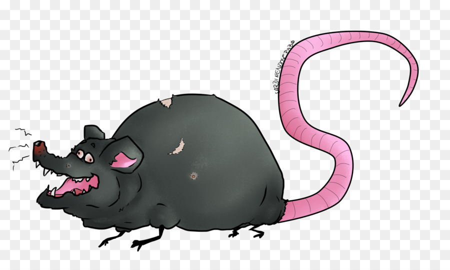 Rat，Murides PNG