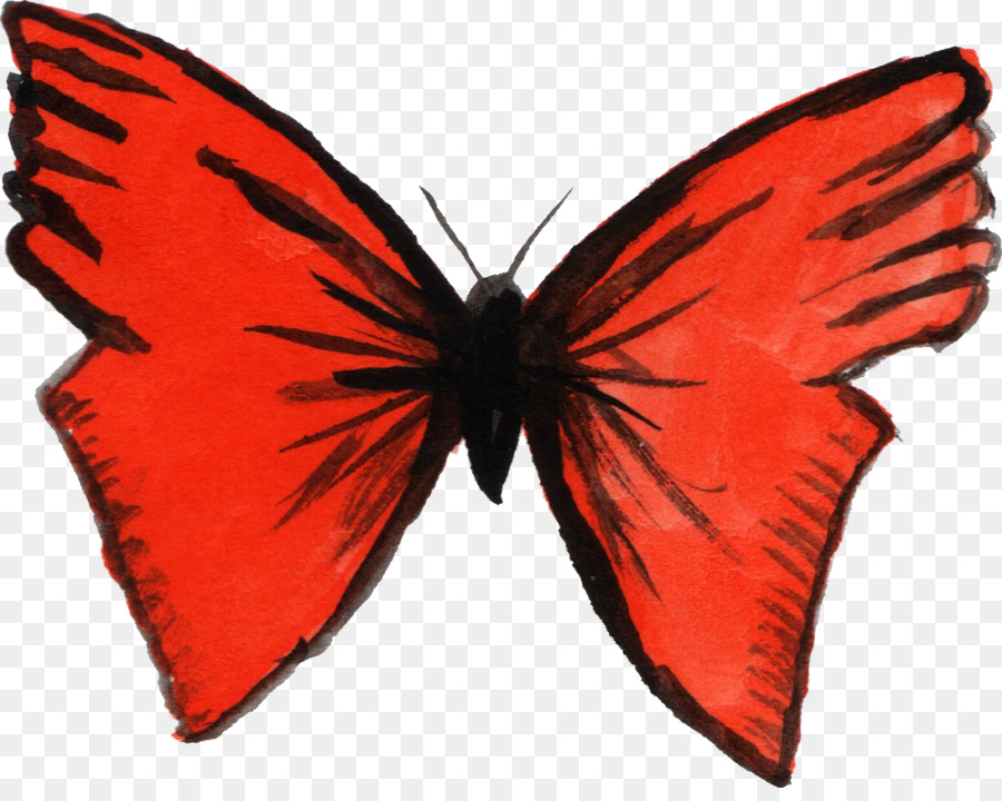 Papillon，Rouge PNG