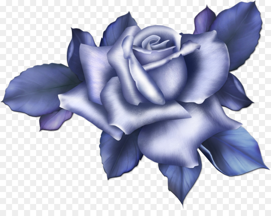 Rose Pourpre，Rose PNG