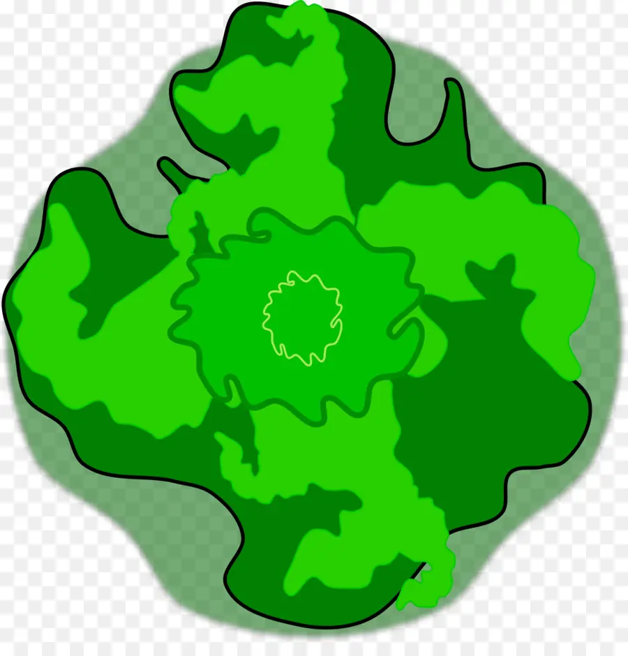 Plante Verte，Feuillage PNG