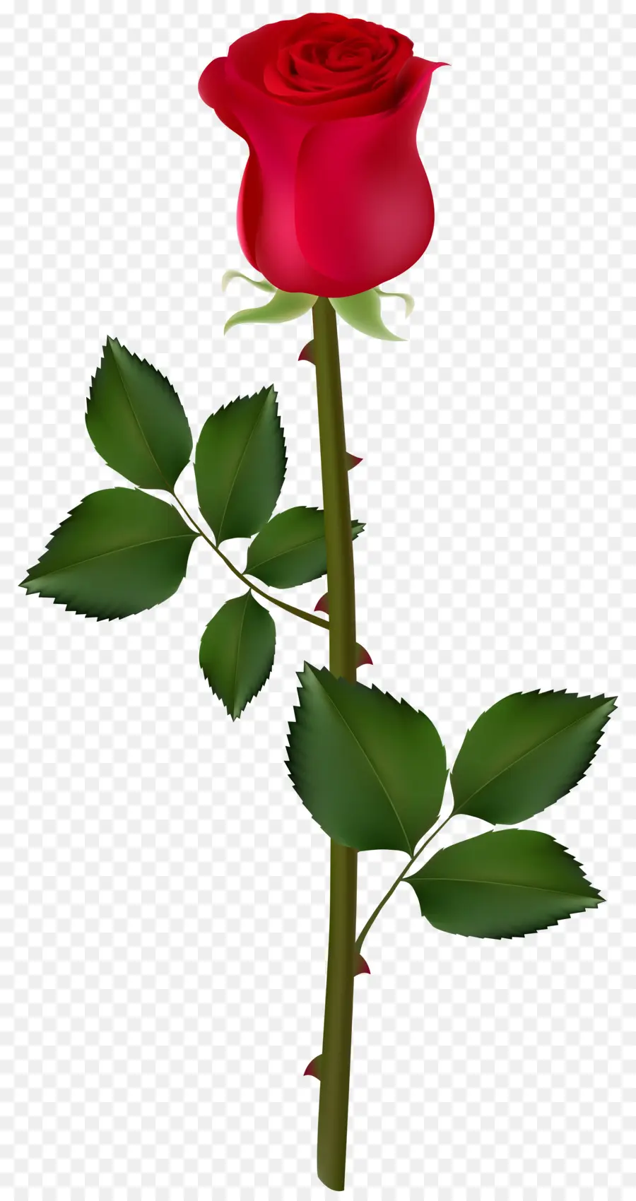 Rose Jaune，Fleur PNG