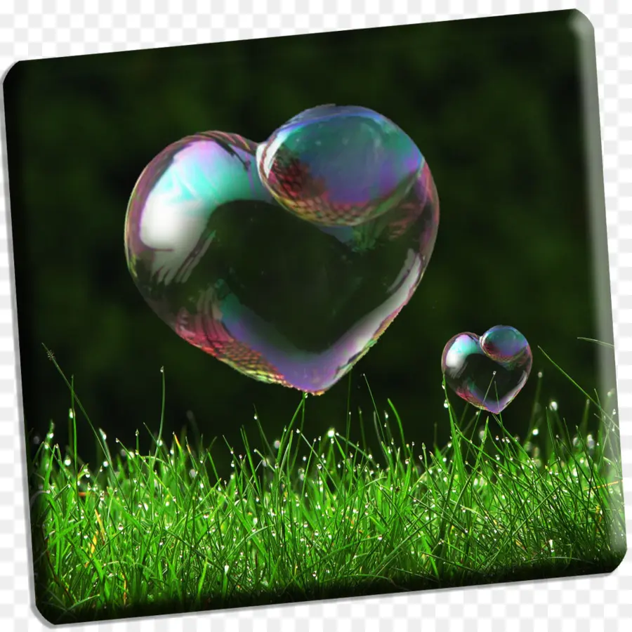 Bulles De Coeur，Bulle PNG