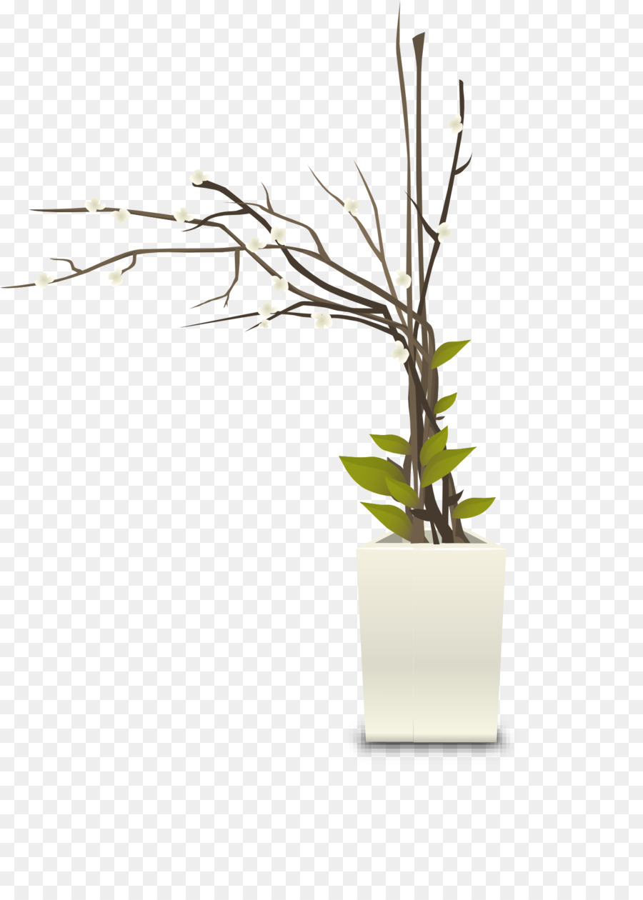 Plante，Vase PNG