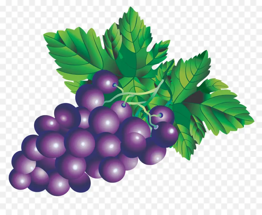 Raisins，Vigne PNG