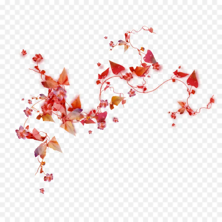 Motif Floral Rouge，Fleurs PNG