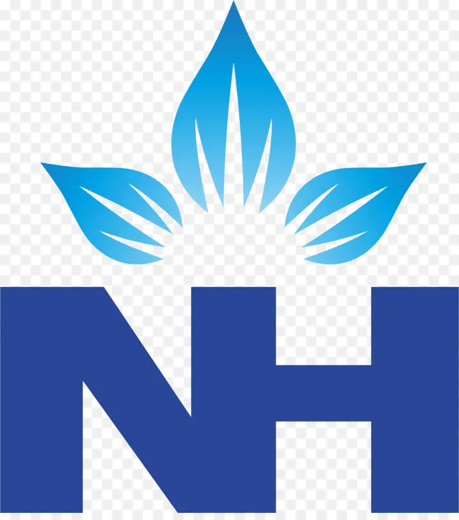 Narayana Health，Hôpital PNG
