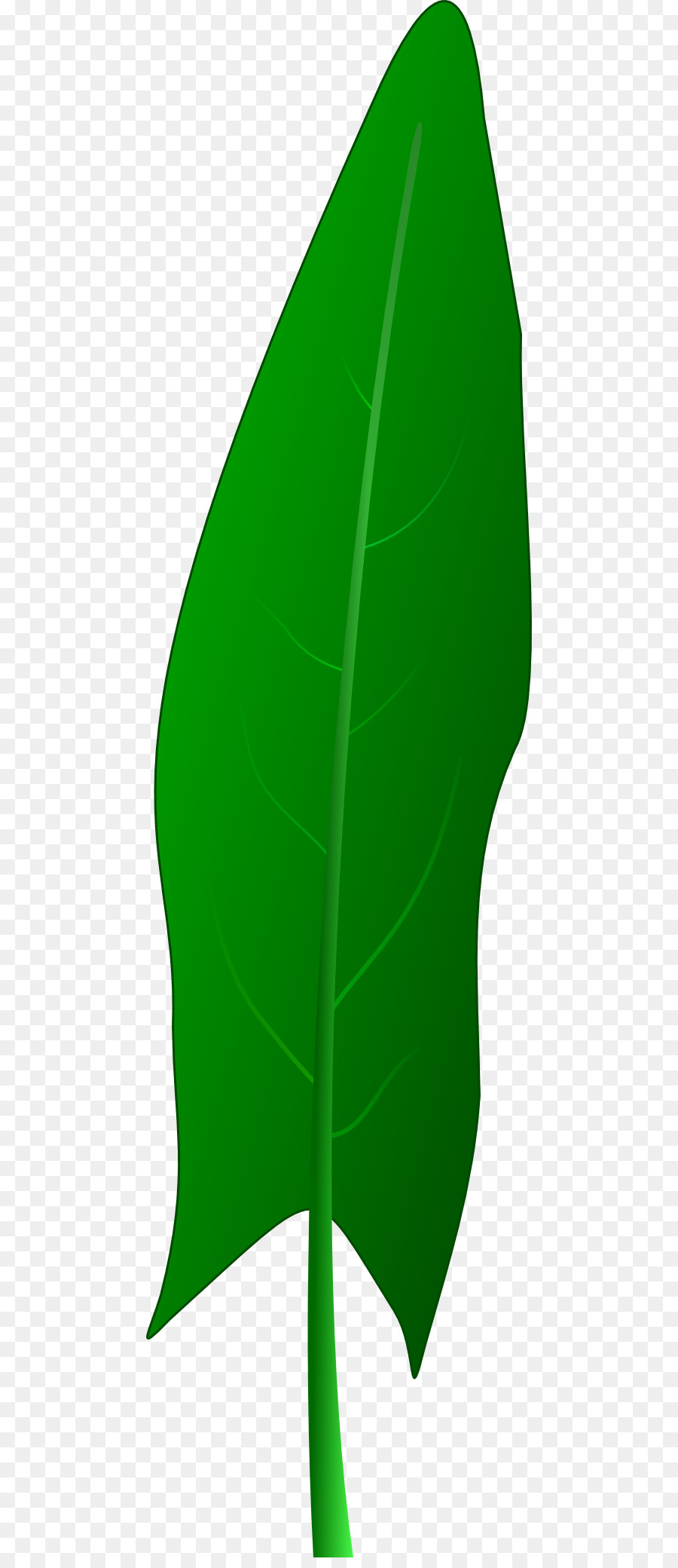 Feuille Verte，Usine PNG