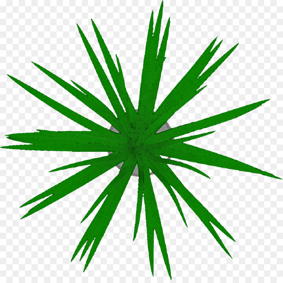 Arbre，Plante PNG