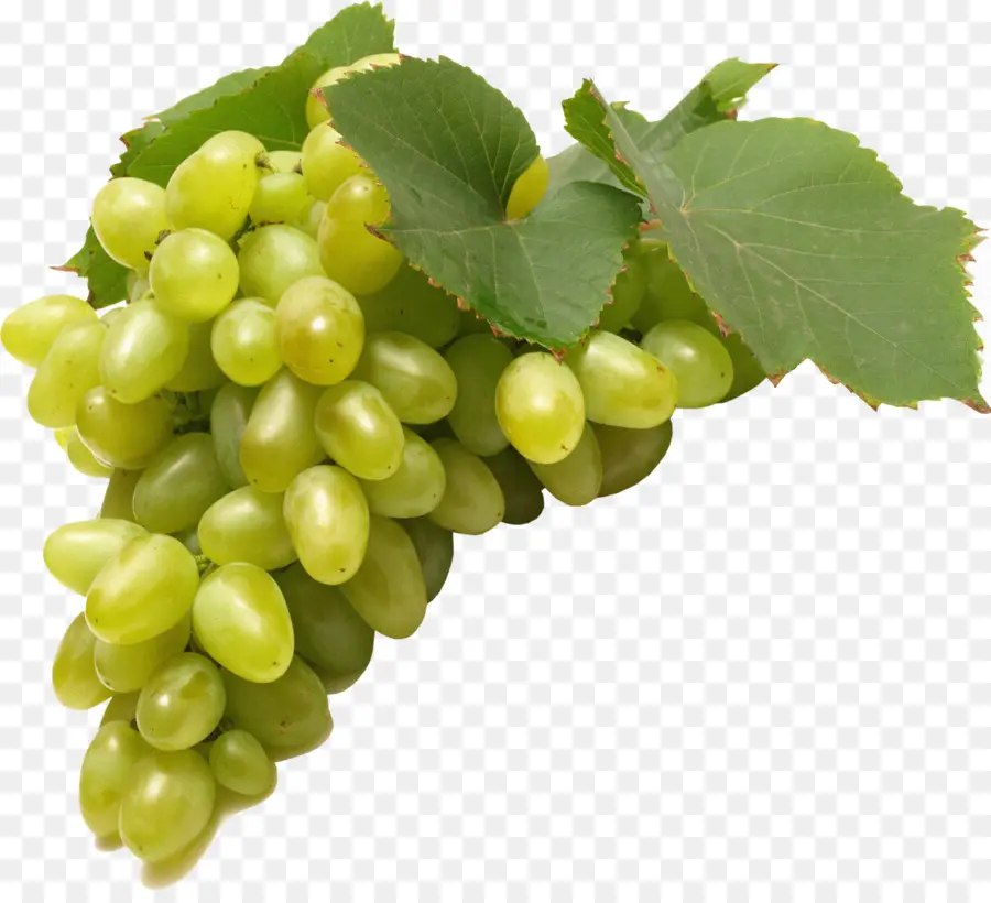 Raisins Verts，Vigne PNG