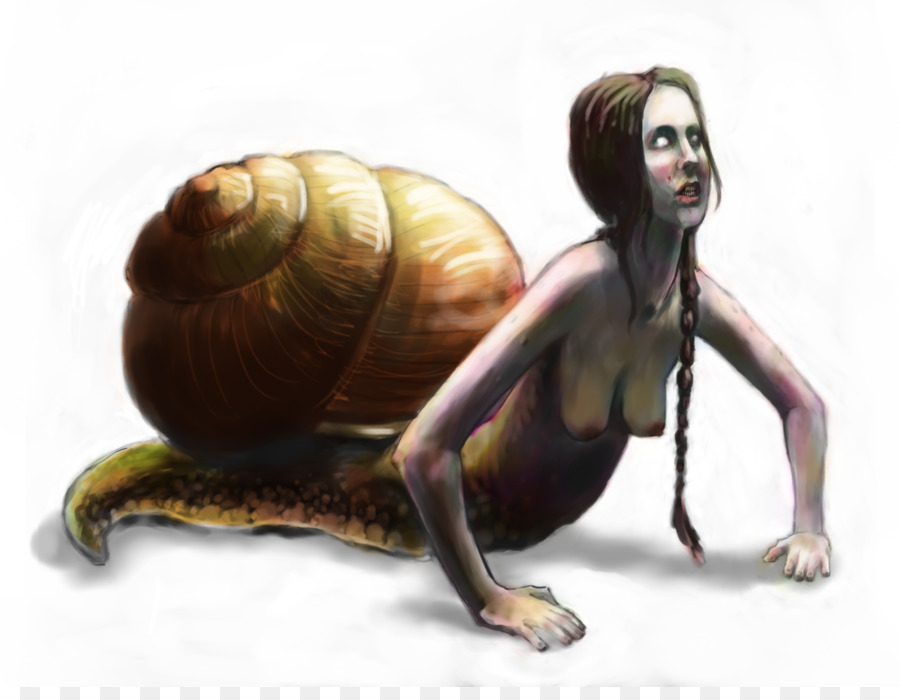 Escargot，Les Gastéropodes PNG