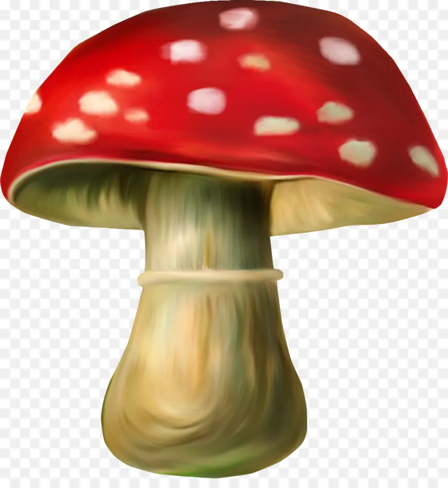 Gnome，Champignons PNG