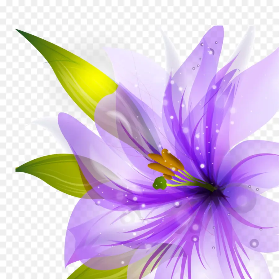 Fleur Violette，Fleurir PNG