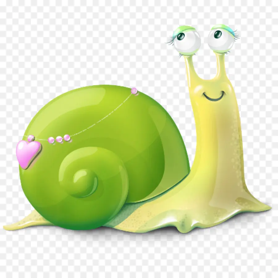 Escargot，Escargot De Mer PNG