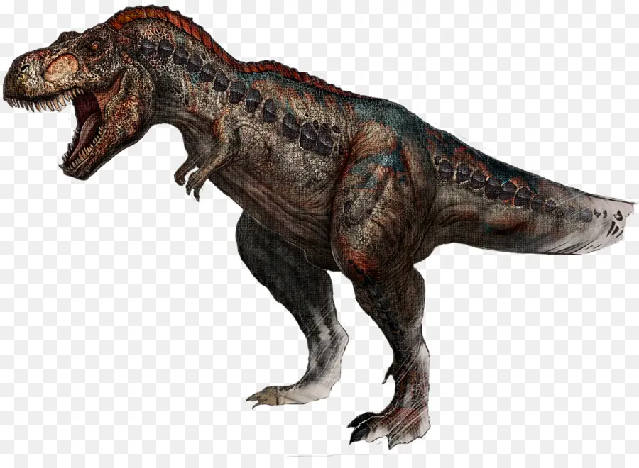 La Survie De L'arche A évolué，Tyrannosaurus PNG