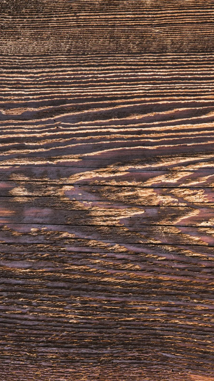 Surface En Bois，Bois PNG