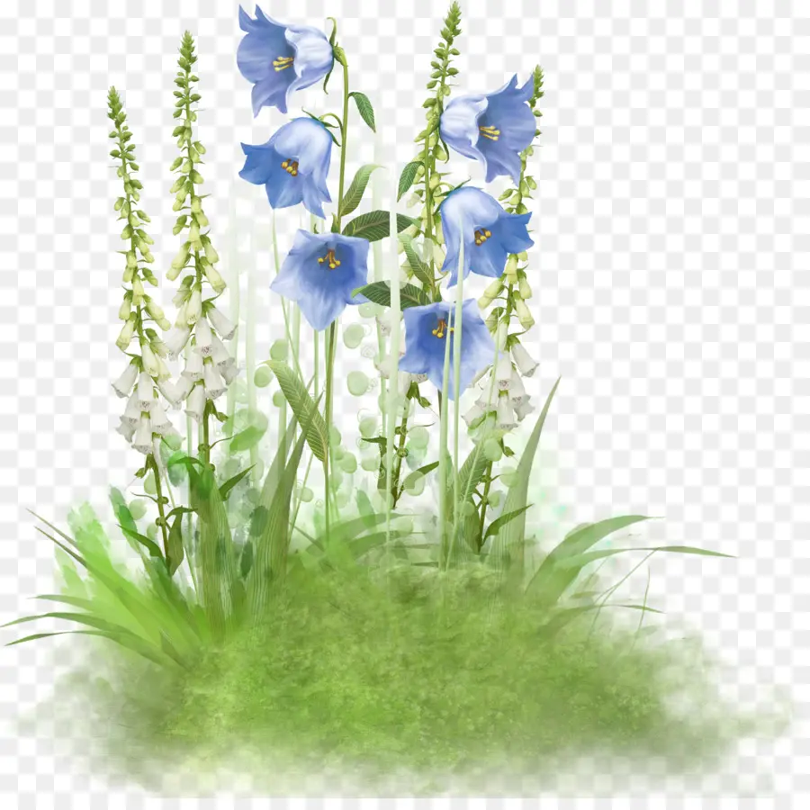 Fleurs Bleues，Jardin PNG