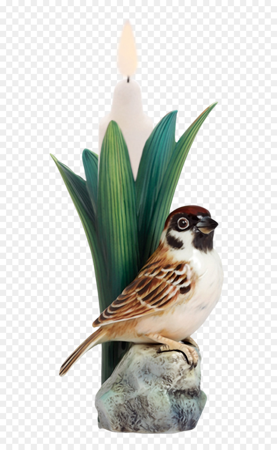 Oiseau，Dresde Collection De Porcelaine PNG