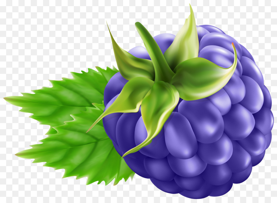 Mûre，Fruit PNG