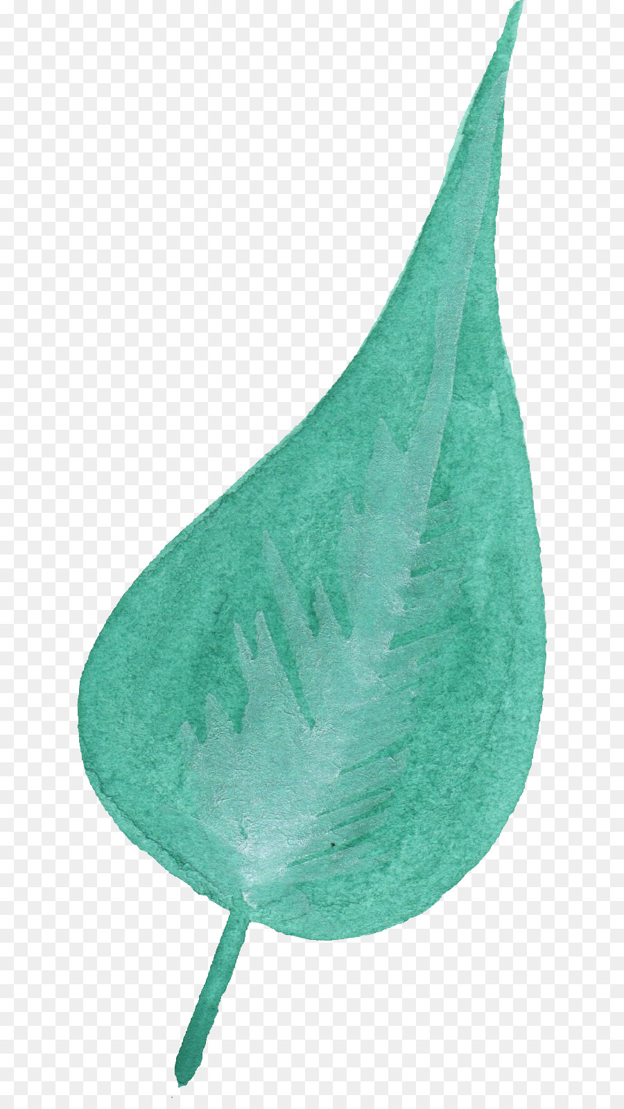 Feuille，Sarcelle PNG
