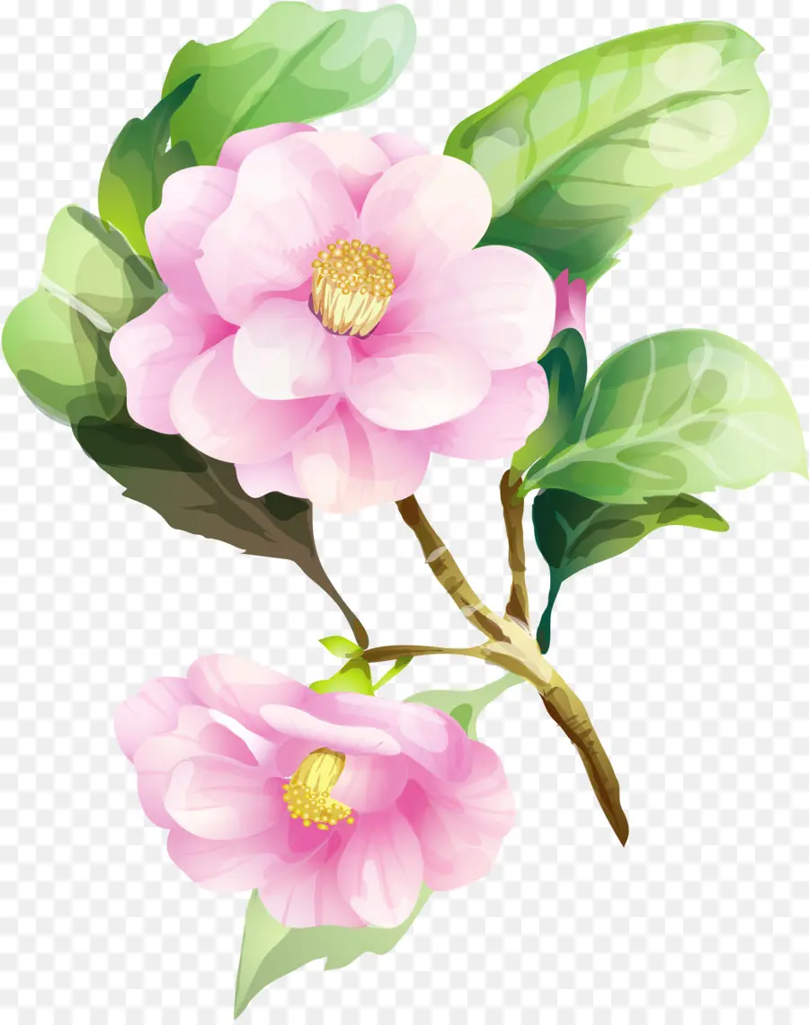 Fleurs Roses，Fleurir PNG